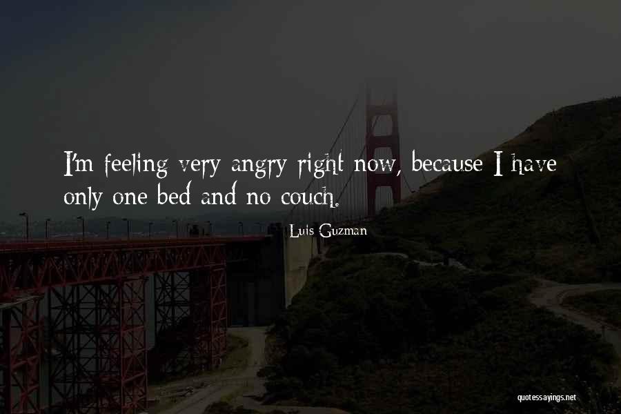 Going To Bed Angry Quotes By Luis Guzman