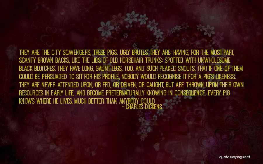 Going To Bed Early Quotes By Charles Dickens Going To Bed Early Quotes By Charles Dickens