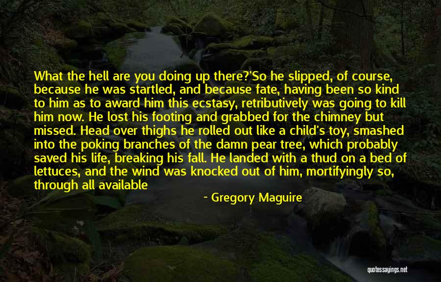 Going To Bed Early Quotes By Gregory Maguire Going To Bed Early Quotes By Gregory Maguire
