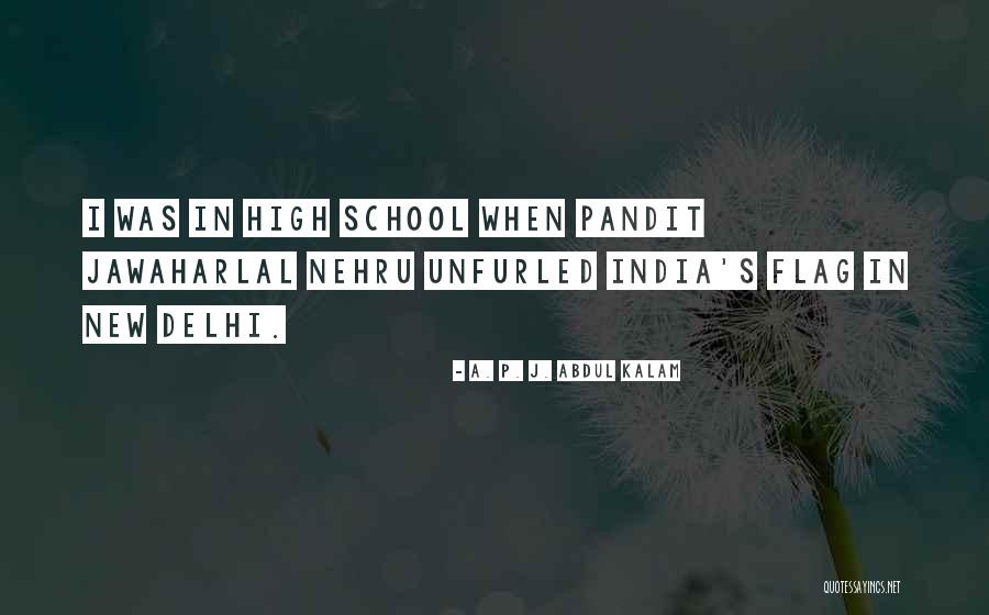 Going To Delhi Quotes By A. P. J. Abdul Kalam Going To Delhi Quotes By A. P. J. Abdul Kalam