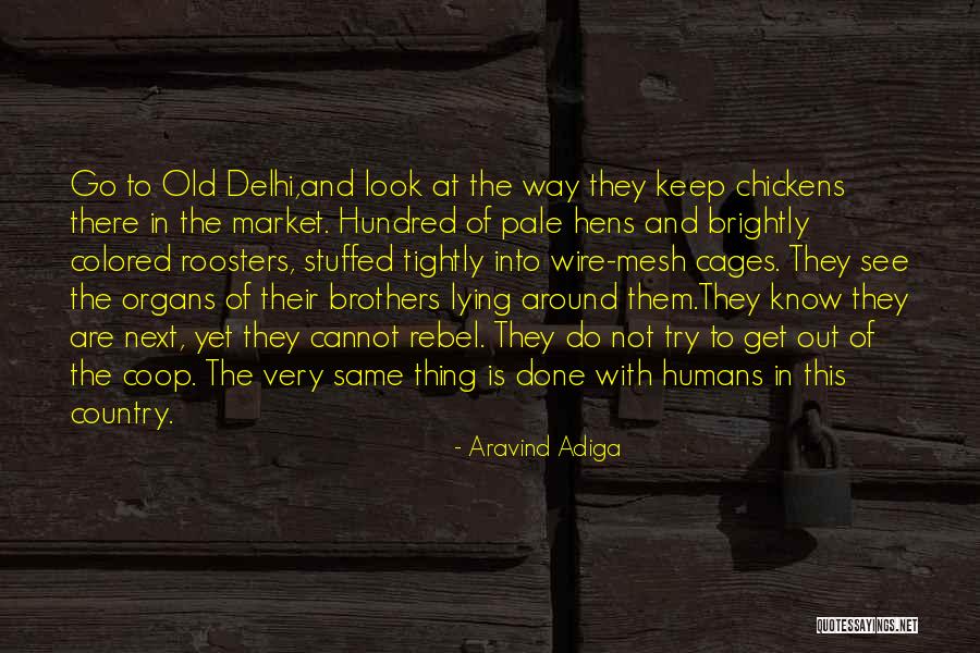Going To Delhi Quotes By Aravind Adiga Going To Delhi Quotes By Aravind Adiga