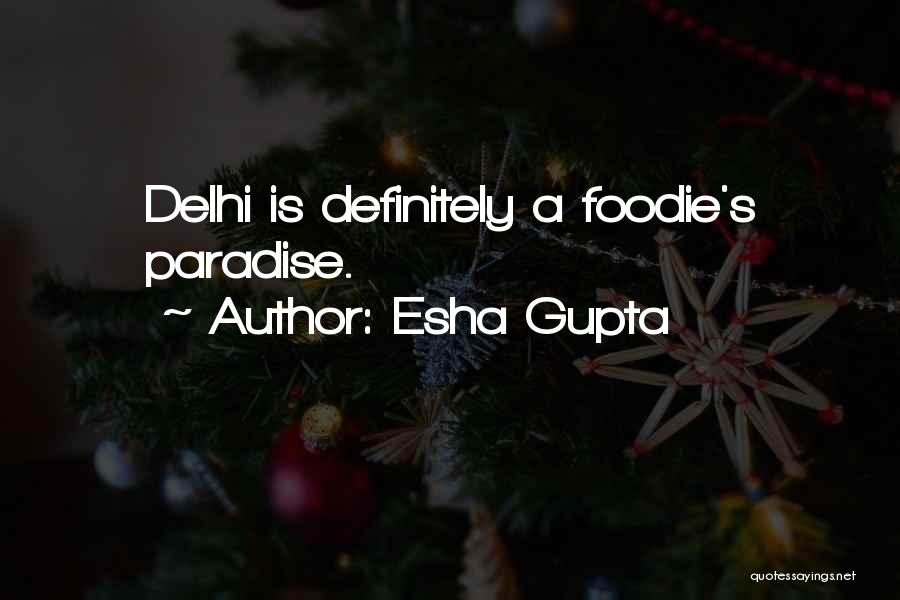 Going To Delhi Quotes By Esha Gupta