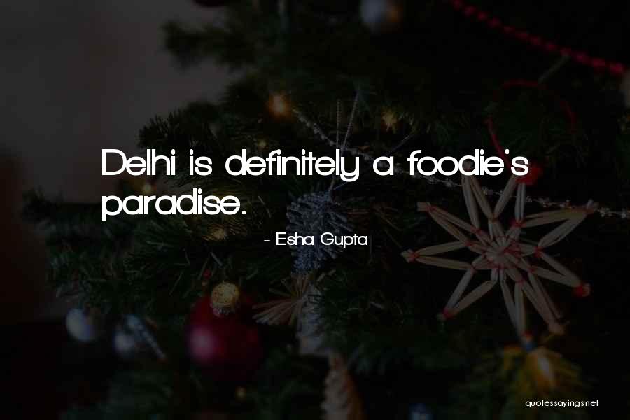 Going To Delhi Quotes By Esha Gupta Going To Delhi Quotes By Esha Gupta