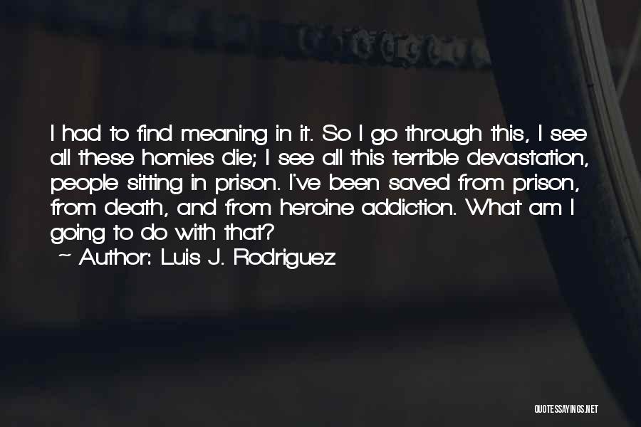 Going To Die Quotes By Luis J. Rodriguez