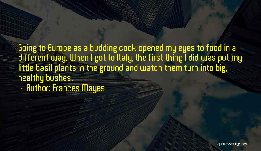 Going To Europe Quotes By Frances Mayes