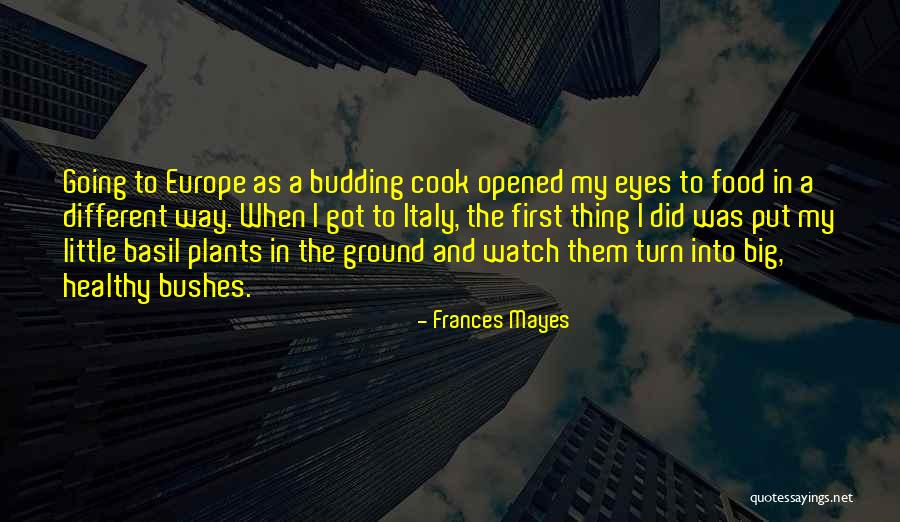 Going To Europe Quotes By Frances Mayes