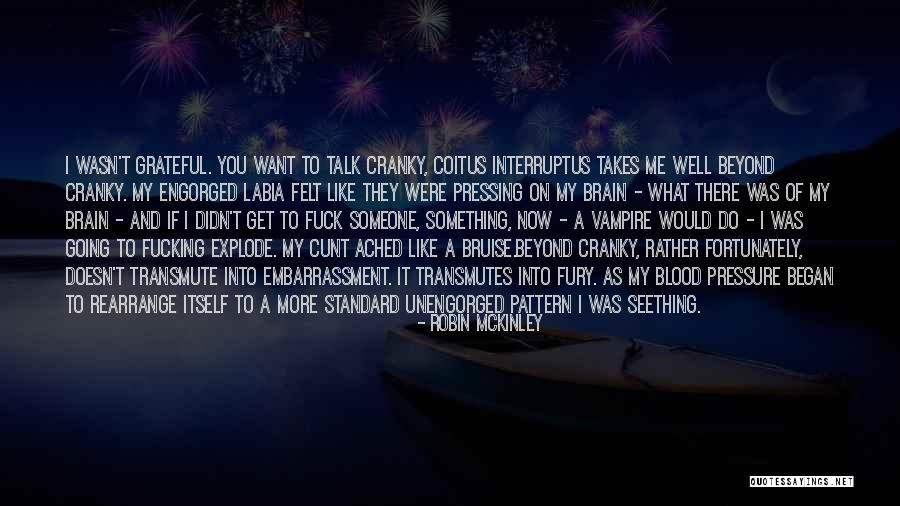 Going To Explode Quotes By Robin McKinley Going To Explode Quotes By Robin McKinley
