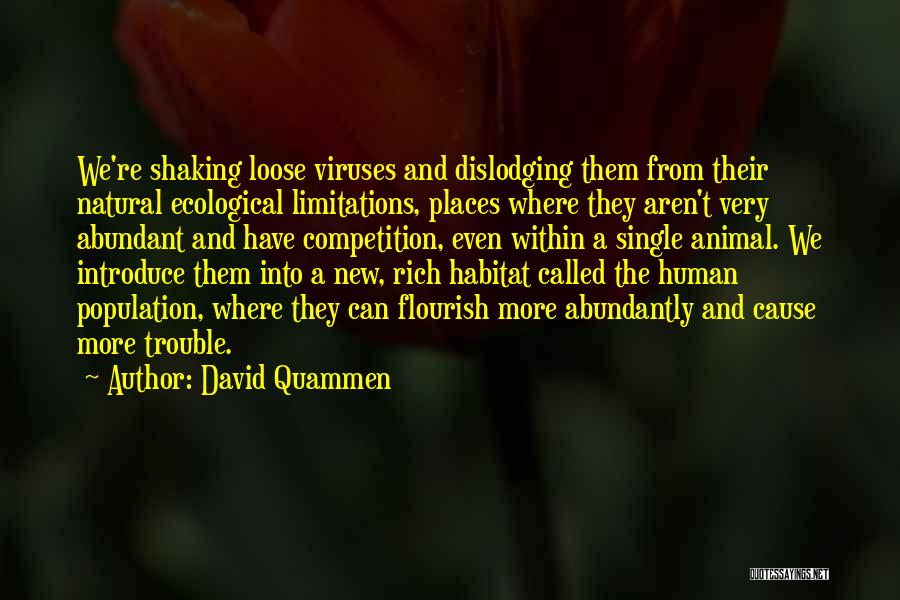 Going To New Places Quotes By David Quammen