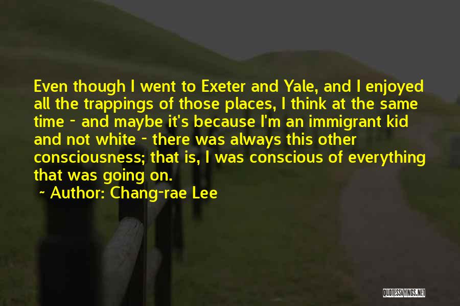 Going To Other Places Quotes By Chang-rae Lee