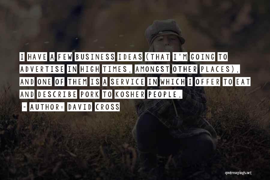 Going To Other Places Quotes By David Cross