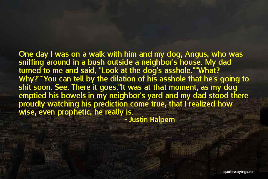 Going To See You Soon Quotes By Justin Halpern