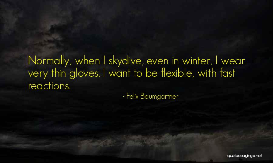 Going To Skydive Quotes By Felix Baumgartner Going To Skydive Quotes By Felix Baumgartner