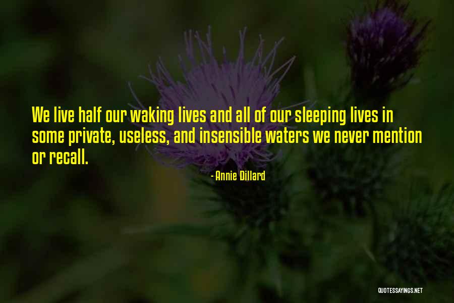 Going To Sleep And Never Waking Up Quotes By Annie Dillard