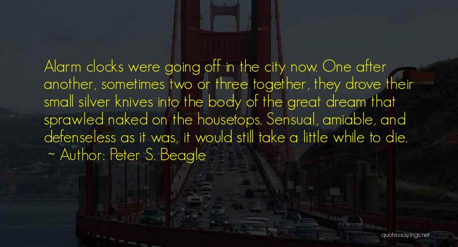 Going To Sleep Now Quotes By Peter S. Beagle