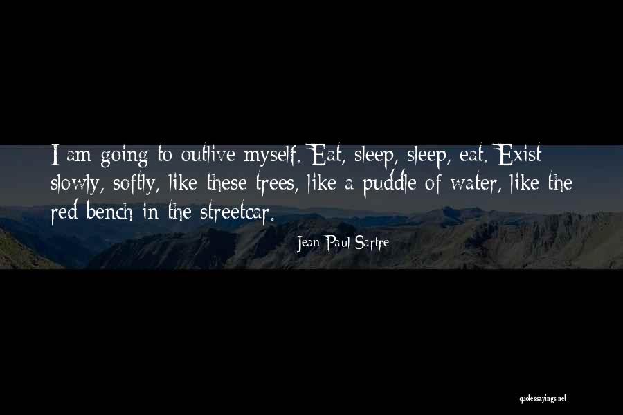 Going To Sleep Quotes By Jean-Paul Sartre