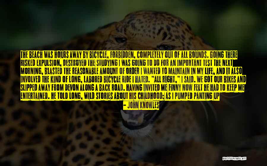 Going To The Beach Quotes By John Knowles Going To The Beach Quotes By John Knowles