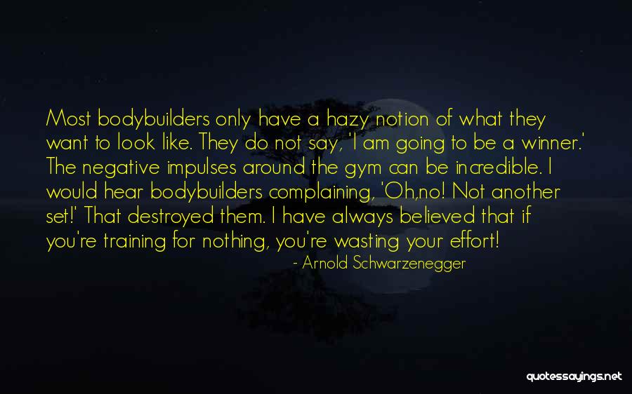 Going To The Gym Quotes By Arnold Schwarzenegger Going To The Gym Quotes By Arnold Schwarzenegger