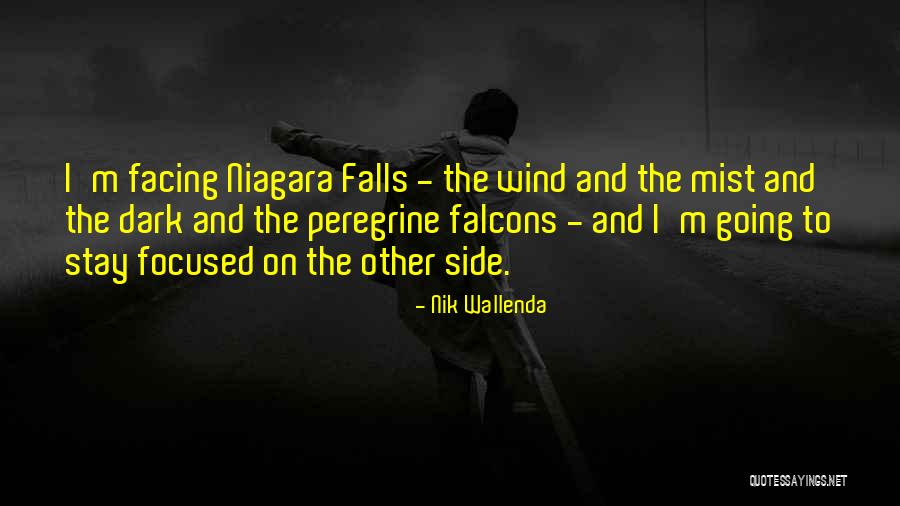 Going To The Other Side Quotes By Nik Wallenda