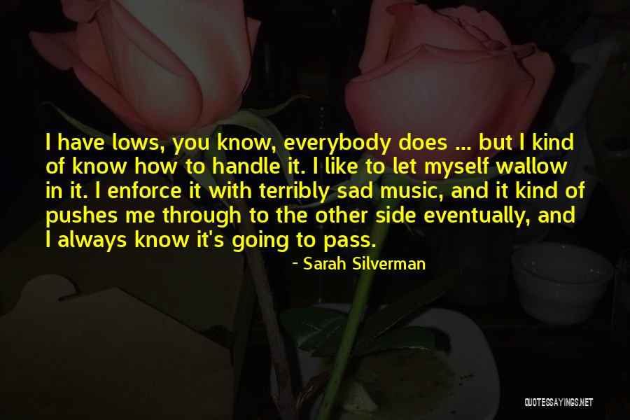 Going To The Other Side Quotes By Sarah Silverman