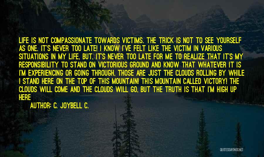 Going To The Top Quotes By C. JoyBell C.
