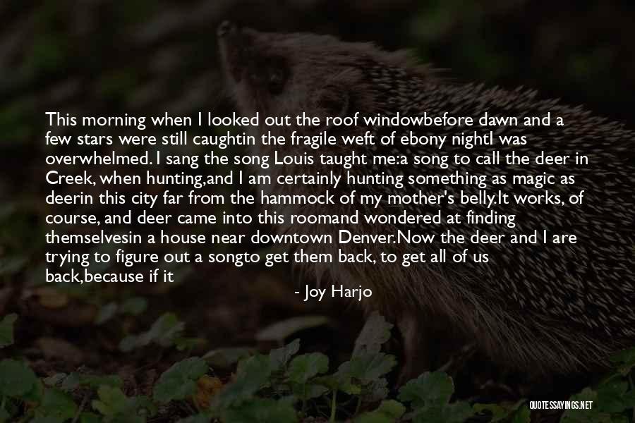 Going Too Far Quotes By Joy Harjo Going Too Far Quotes By Joy Harjo