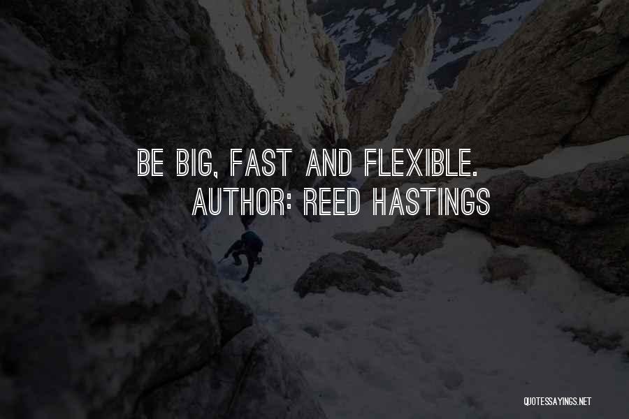 Going Too Fast In Life Quotes By Reed Hastings