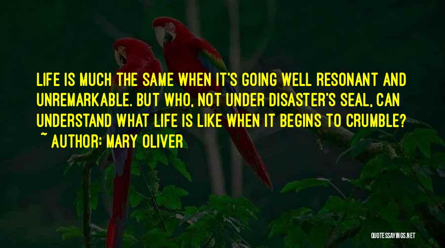Going Under Quotes By Mary Oliver