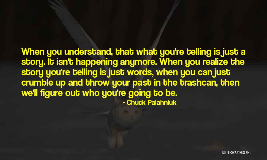 Going Up In Life Quotes By Chuck Palahniuk