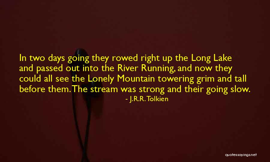 Going Up Quotes By J.R.R. Tolkien