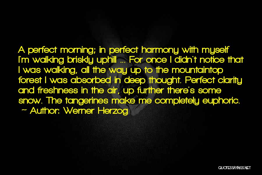 Going Uphill Quotes By Werner Herzog