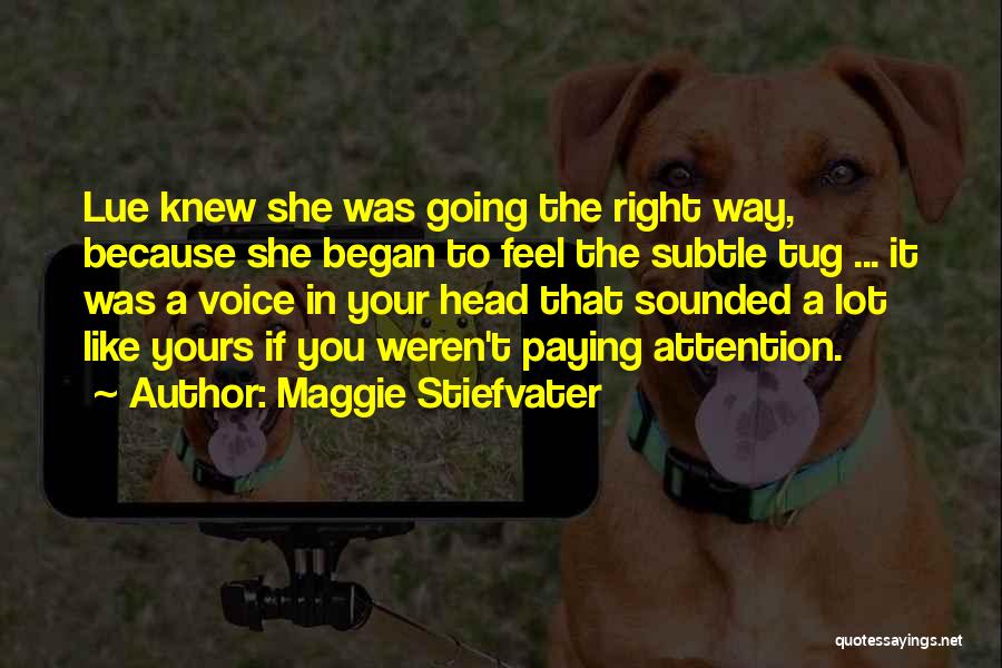Going Your Way Quotes By Maggie Stiefvater