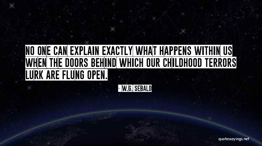 Gointer Quotes By W.G. Sebald Gointer Quotes By W.G. Sebald