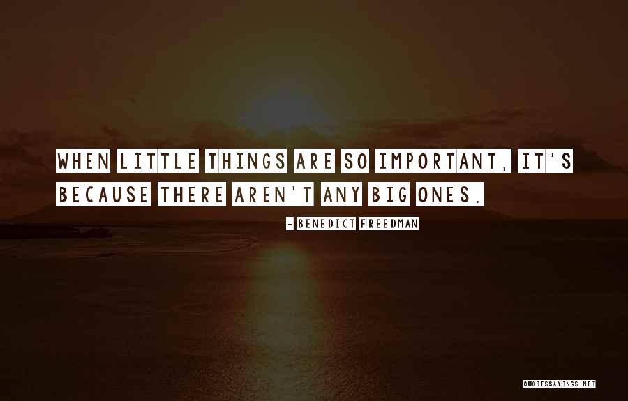 Gojko Sisa Quotes By Benedict Freedman