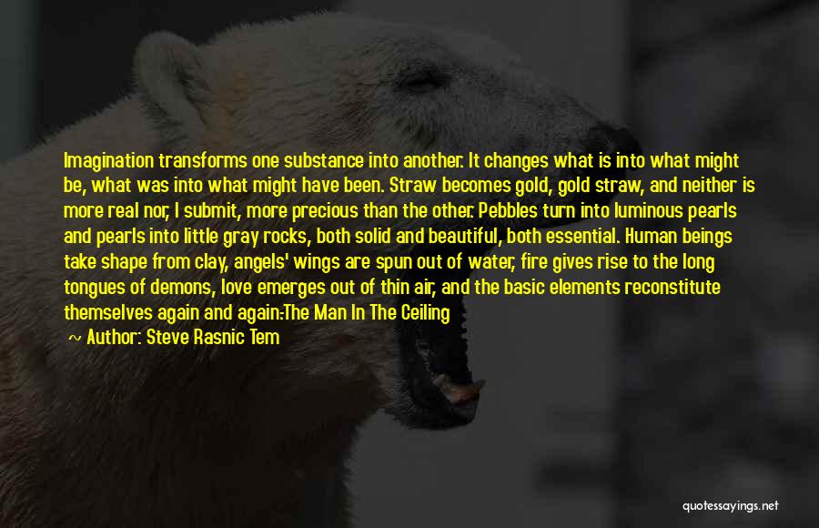 Gold And Love Quotes By Steve Rasnic Tem