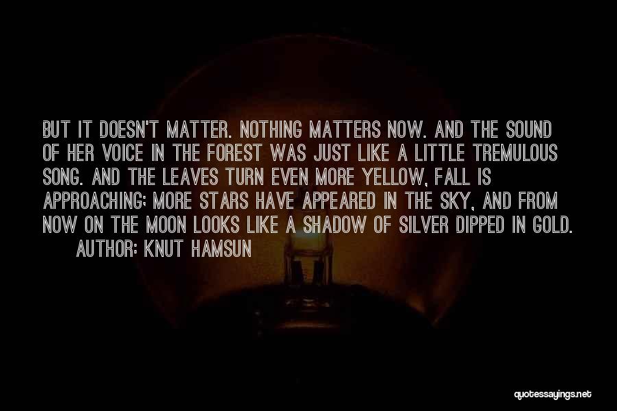 Gold And Silver Quotes By Knut Hamsun