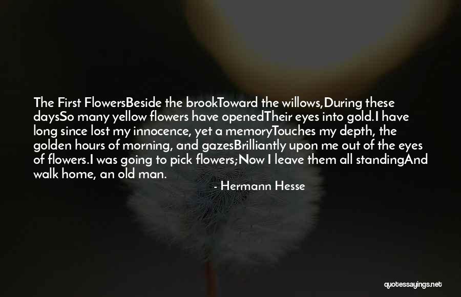 Gold Eyes Quotes By Hermann Hesse