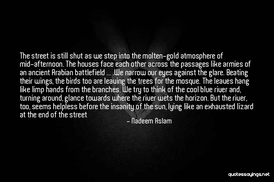 Gold Eyes Quotes By Nadeem Aslam Gold Eyes Quotes By Nadeem Aslam
