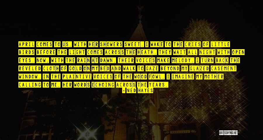 Gold Eyes Quotes By Ned Hayes Gold Eyes Quotes By Ned Hayes