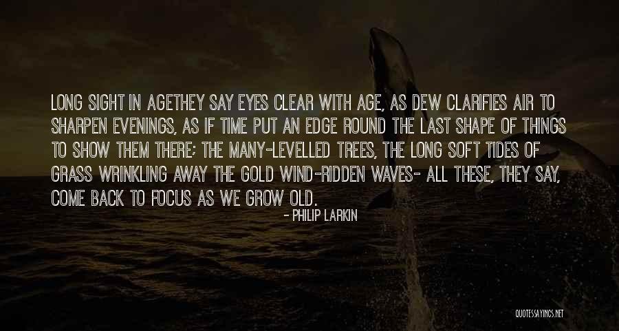 Gold Eyes Quotes By Philip Larkin