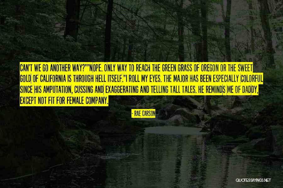 Gold Eyes Quotes By Rae Carson Gold Eyes Quotes By Rae Carson
