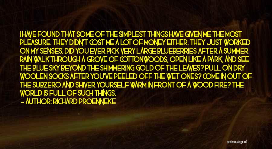 Gold Fire Quotes By Richard Proenneke