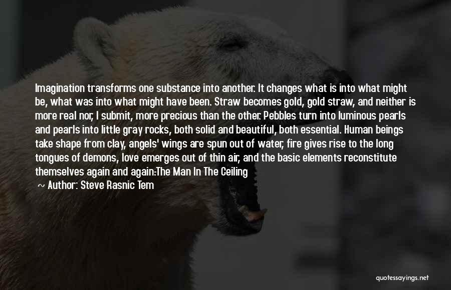 Gold Fire Quotes By Steve Rasnic Tem