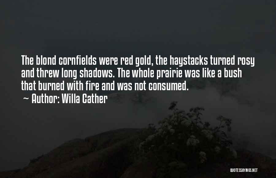 Gold Fire Quotes By Willa Cather