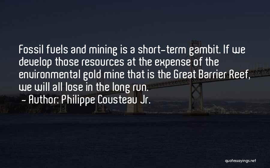 Gold Mining Quotes By Philippe Cousteau Jr.