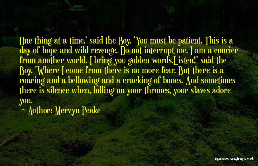 Golden Boy Quotes By Mervyn Peake
