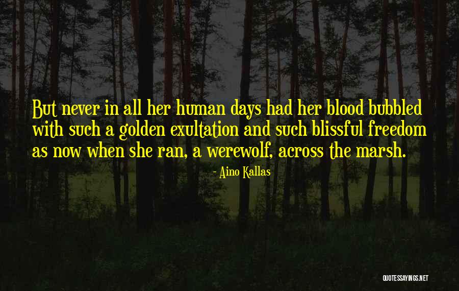 Golden Days Quotes By Aino Kallas