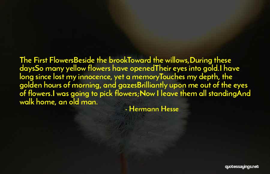 Golden Days Quotes By Hermann Hesse