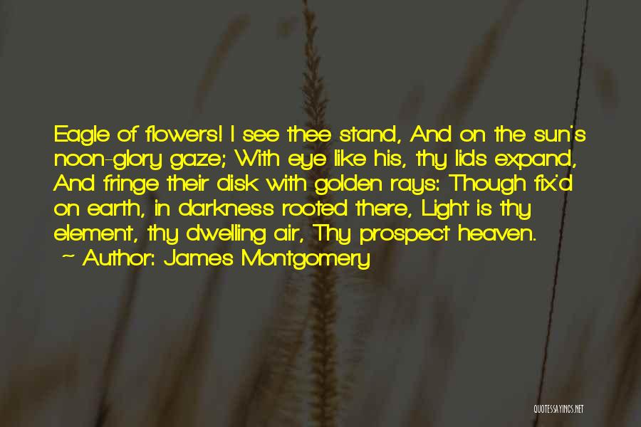 Golden Eagle Quotes By James Montgomery