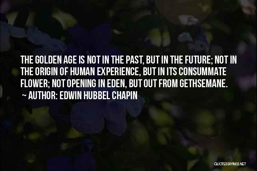 Golden Experience Quotes By Edwin Hubbel Chapin