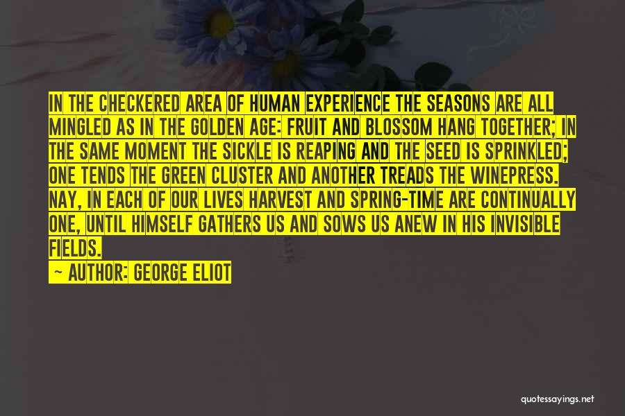 Golden Experience Quotes By George Eliot